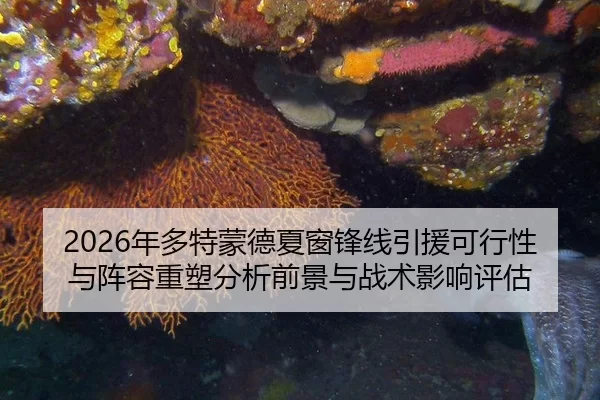 nian-duo-te-meng-de-xia-chuang-feng-xian-yin-yuan-ke-xing-xing-yu-zhen-rong-zhong-su-fen-xi-qian-jing-yu-zhan-shu-ying-2-270.jpg